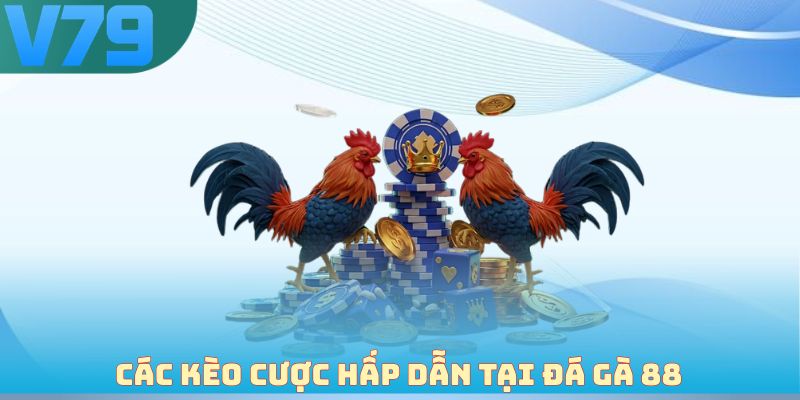 Các kèo cược hấp dẫn tại đá gà 88