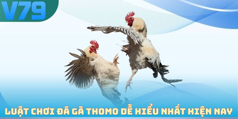 Luật chơi đá gà Thomo dễ hiểu nhất hiện nay