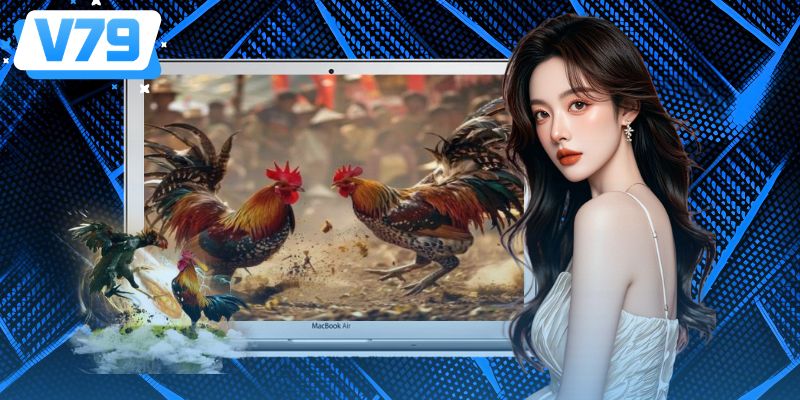 Các hình thức cá cược đá gà được săn đón nhất